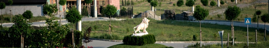 header-sibiu header-sibiu